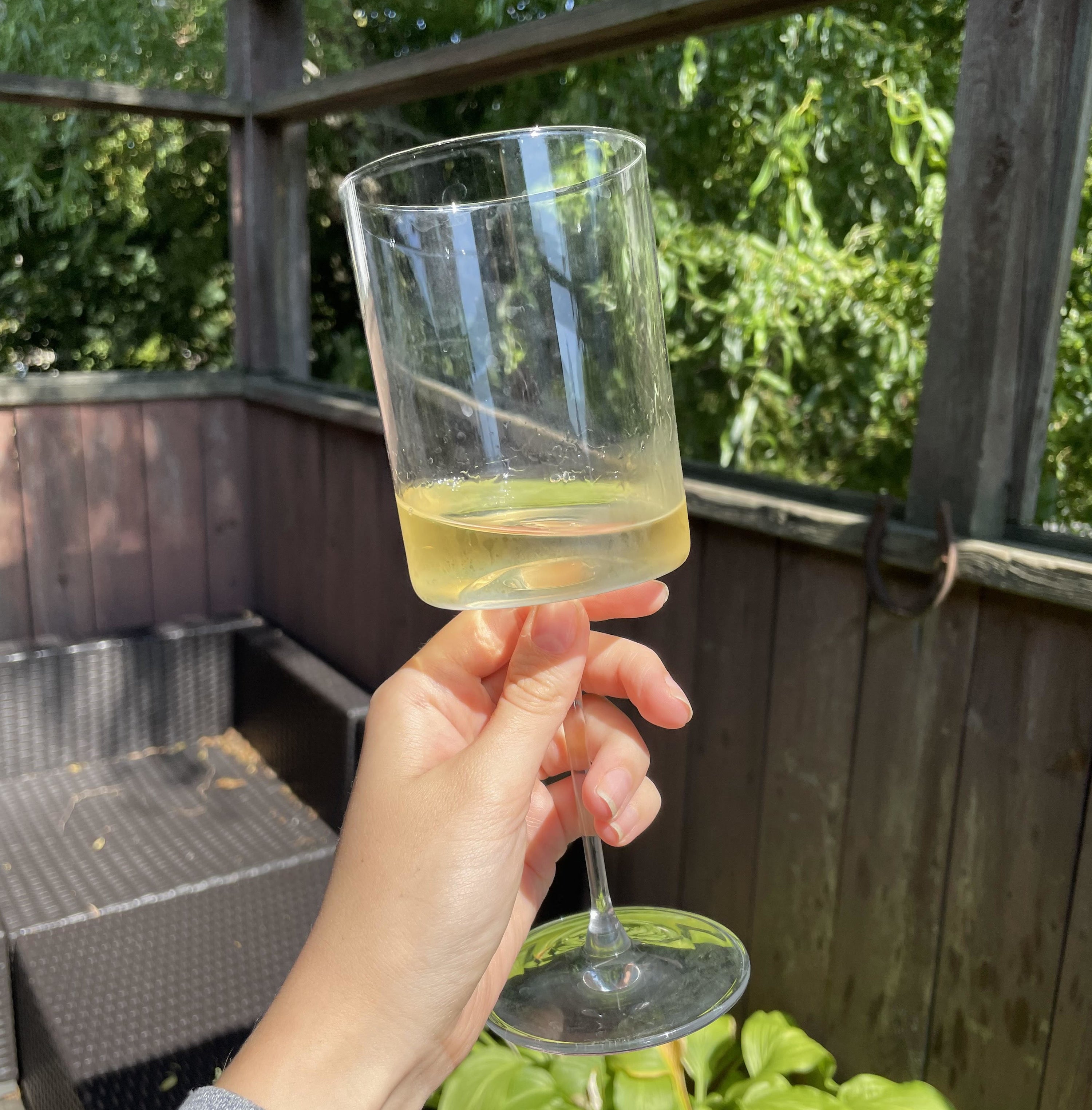 A person holding a glass with wine in it