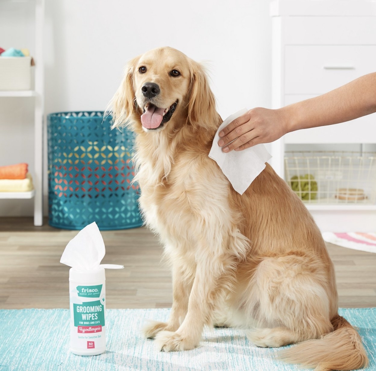 There is a long-haired golden retriever being wiped down with a white wipe from a bottle nearby that says &quot;GROOMING WIPES&quot;