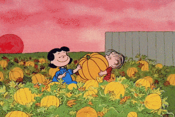 lucy and linus walk through a pumpkin patch in &quot;it&#x27;s the great pumpkin, charlie brown&quot;