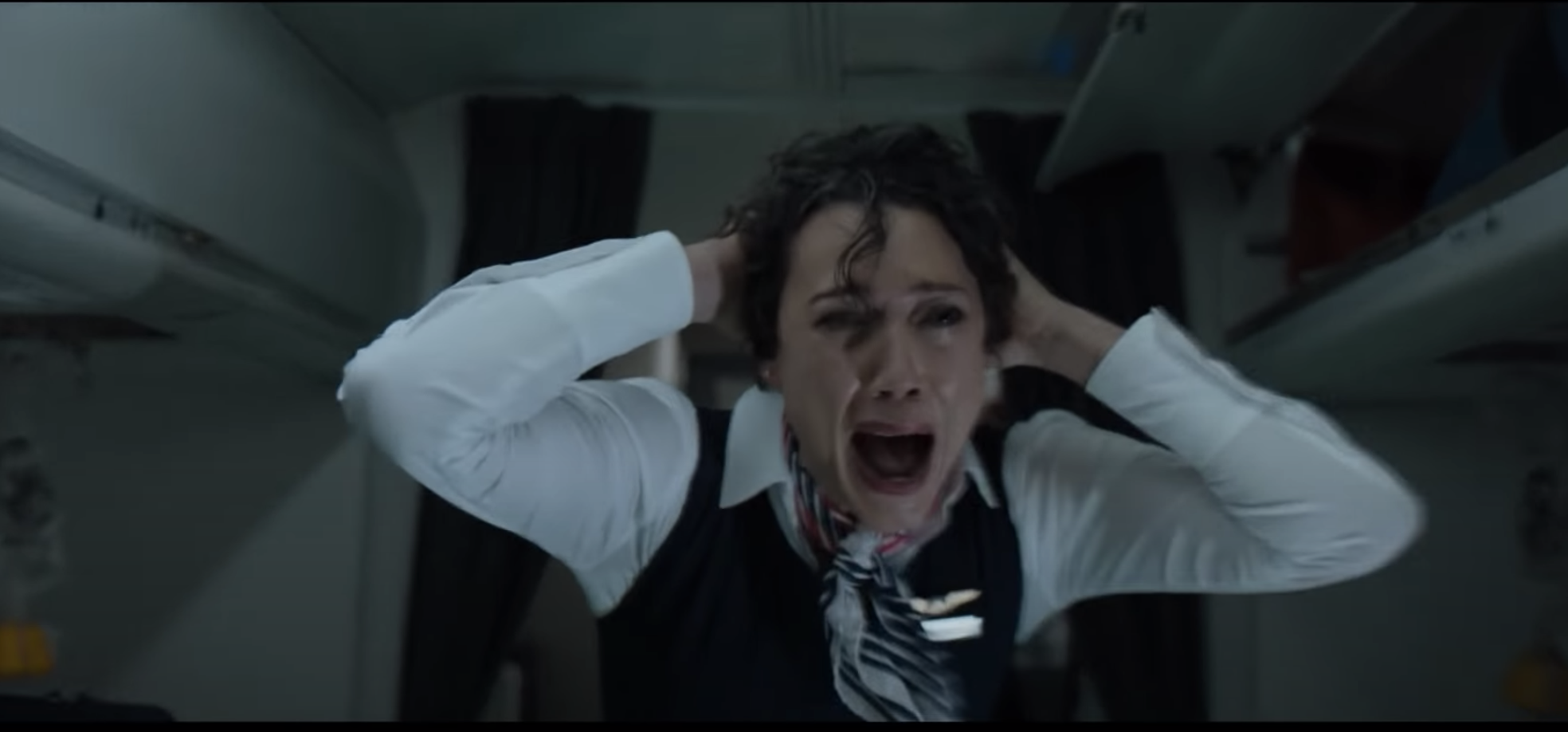 A flight attendant screams as a plane goes down