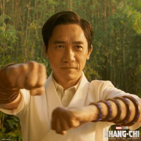 Wenwu striking a martial arts pose