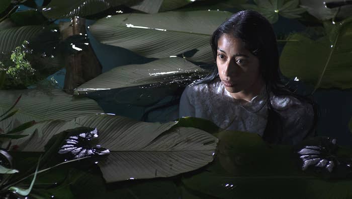 A woman standing in a lily pond at night