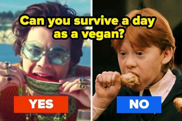 Can You Survive One Day As A Vegan?