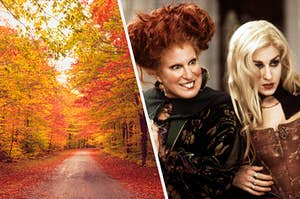 An empty road covered in colorful leaves surrounded by brightly colored trees and Winnie and Sarah Sanderson from "Hocus Pocus"