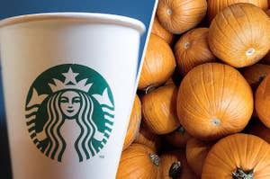 Starbucks cup and a pile of pumpkins