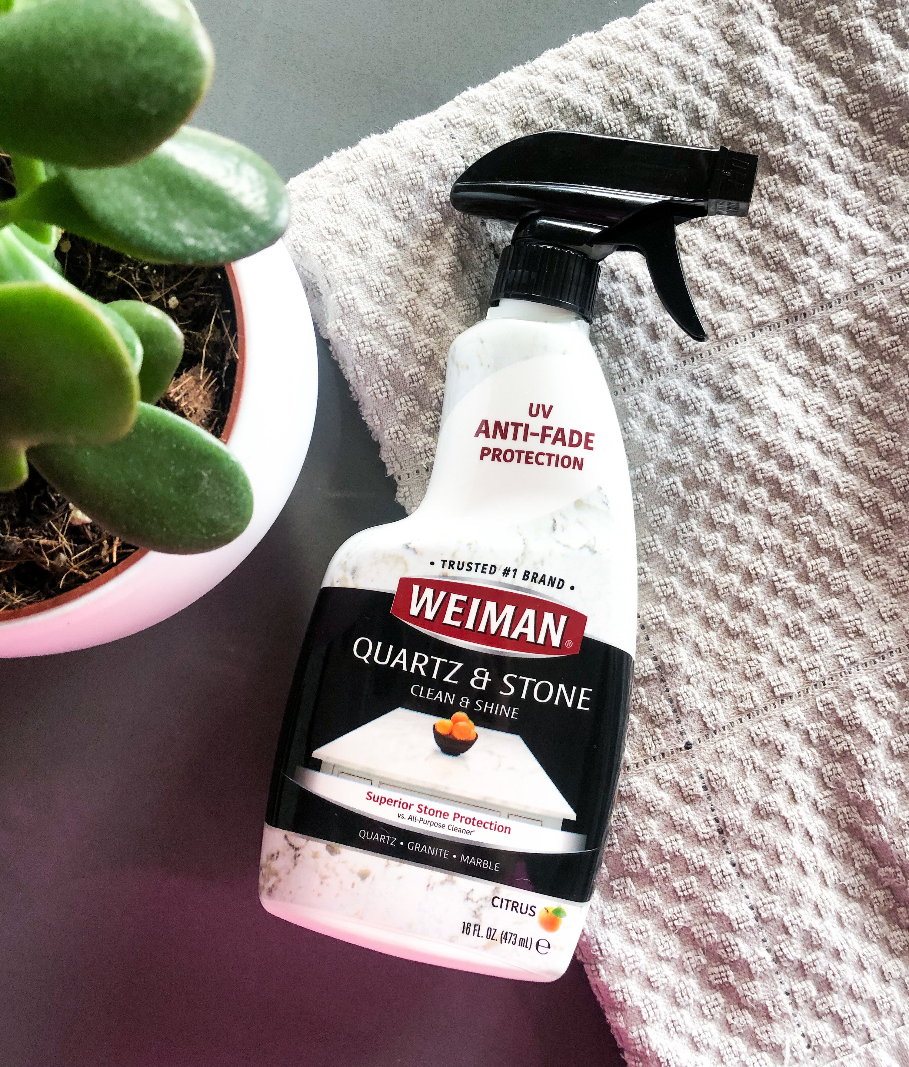 A flatlay of the countertop cleaner on a streak-free quartz counter next to a plant