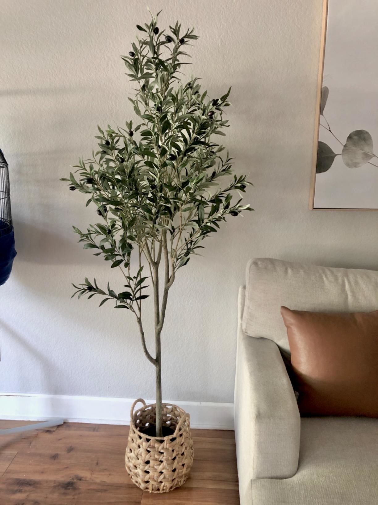 Reviewer&#x27;s faux olive tree is in a living room