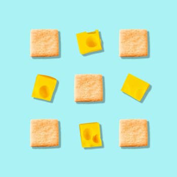 square-shaped dog treats next to cheese bits