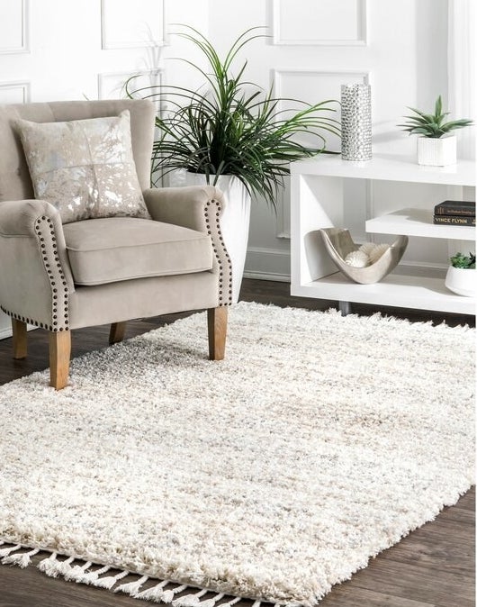 Ivory rug with tassels in a room with armchair, console and plant.