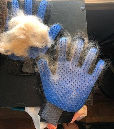 reviewer&#x27;s picture of the blue gloves covered in pet hair