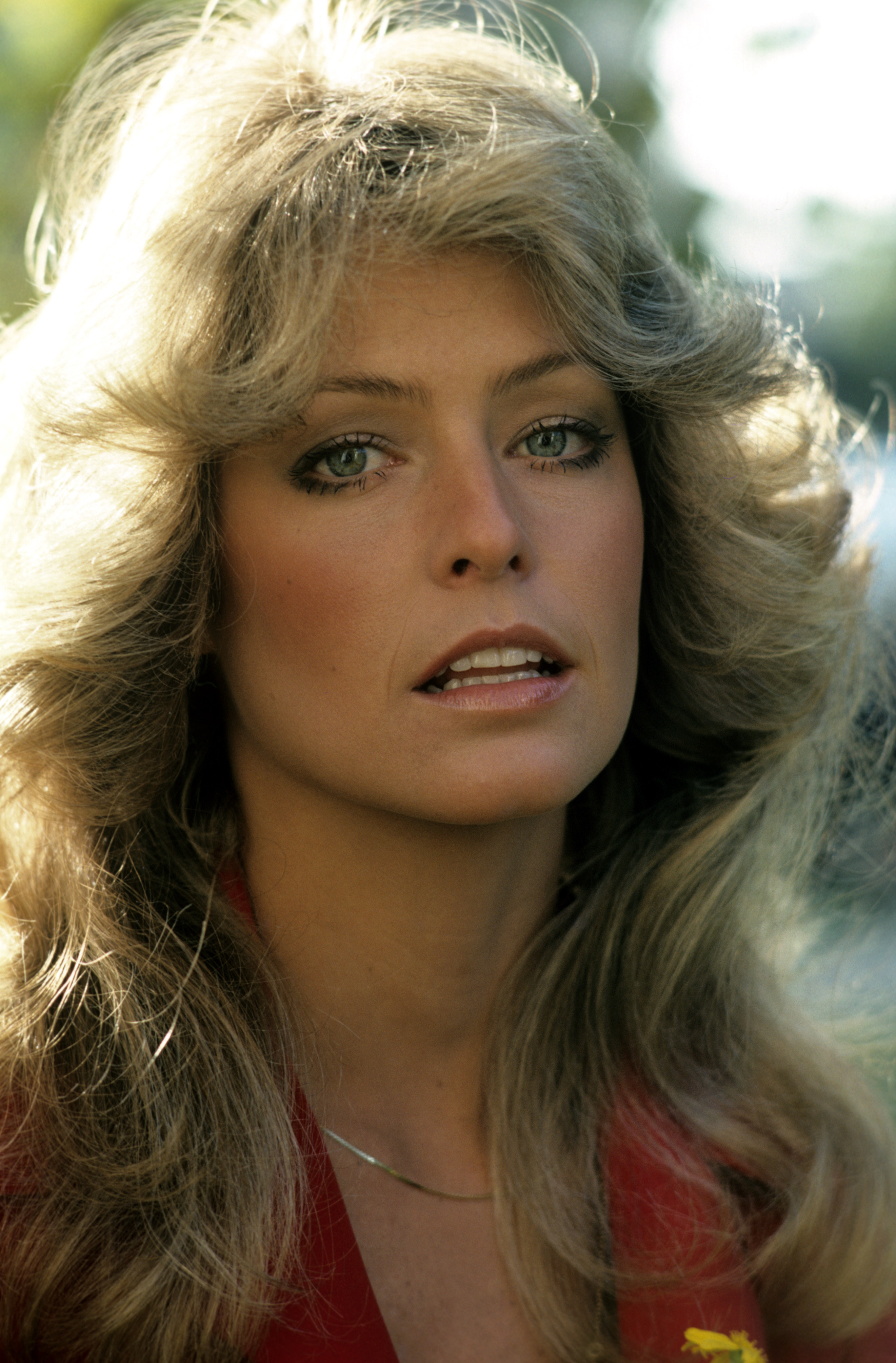 Close up photo of Farrah Fawcett. 