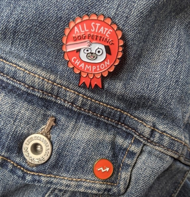 the pin that says &quot;all state dog petting champion&quot; attached to a denim jacket