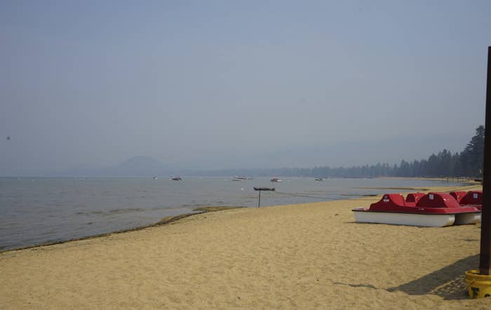 A view from a sandy shore next to a body of water shows a tree-lined horizon obscured by smoke