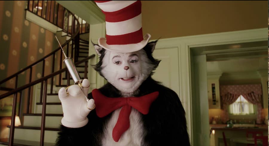 Cat in 2025 the hat real