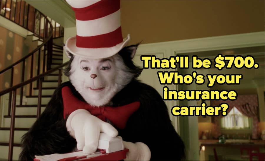 The cat in outlet the hat anything