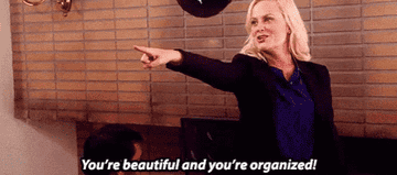 Leslie Knope from &quot;Parks and Recreation&quot; exclaiming, &quot;You&#x27;re beautiful and you&#x27;re organized&quot;