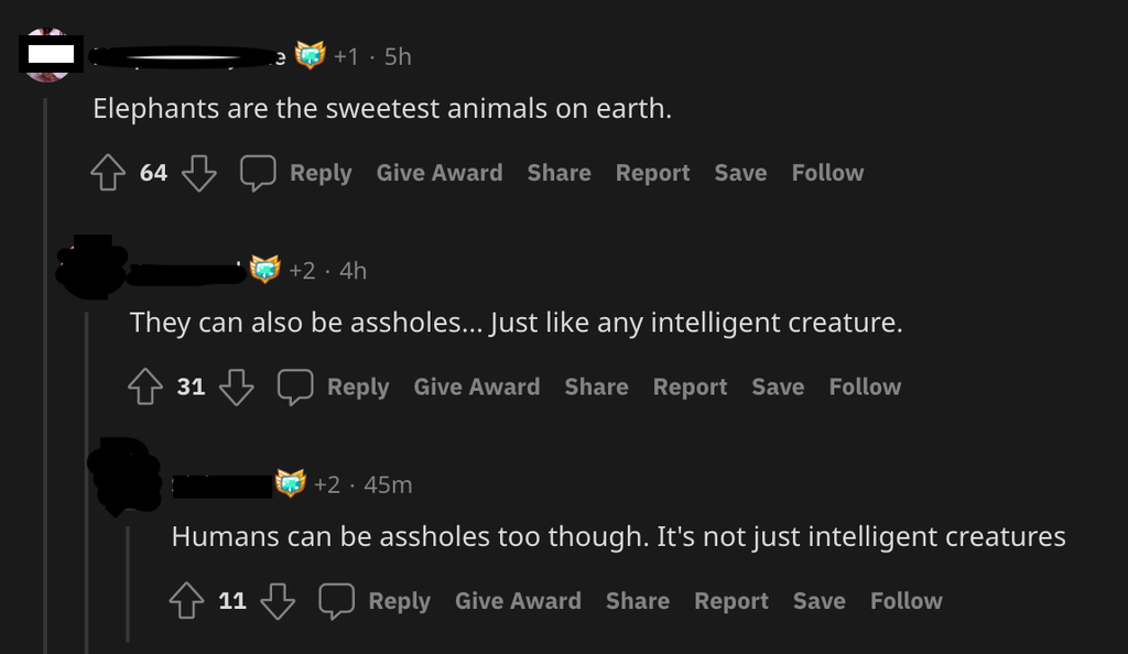 person who says elephants are sweet and someone says so can humans