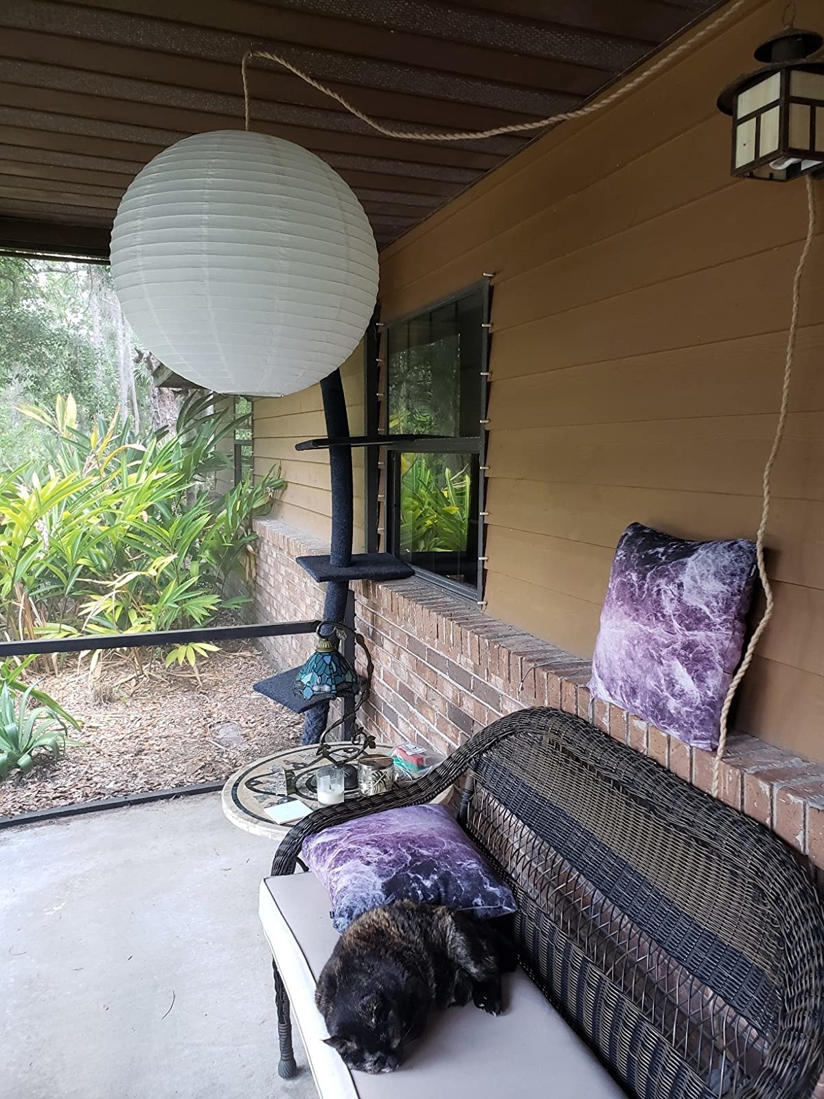 The lantern hanging on a reviewer&#x27;s porch