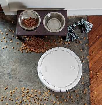 the robovac sucking up dog food from a carpet