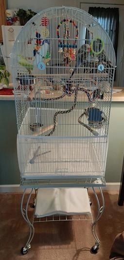 The white skirt on a reviewer&#x27;s bird cage