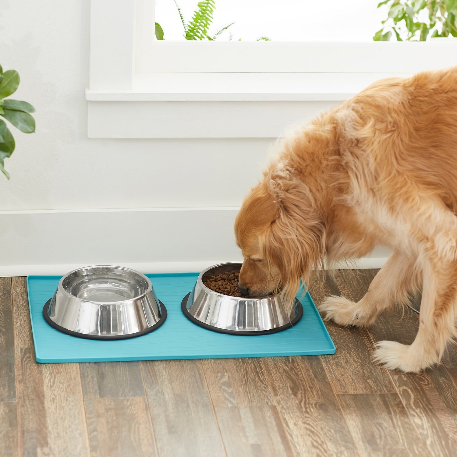 A dog eating kibble out of a bowl on the teal mat