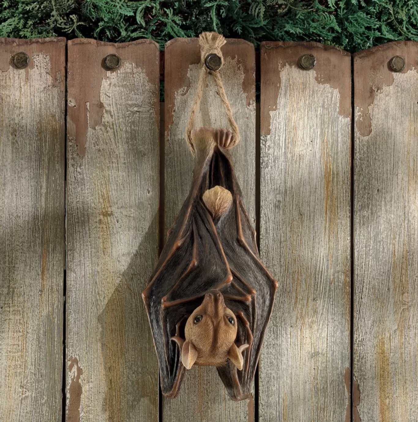 The brown and tan bat is hanging from a fence with its wings wrapped around itself and it&#x27;s face peeking out