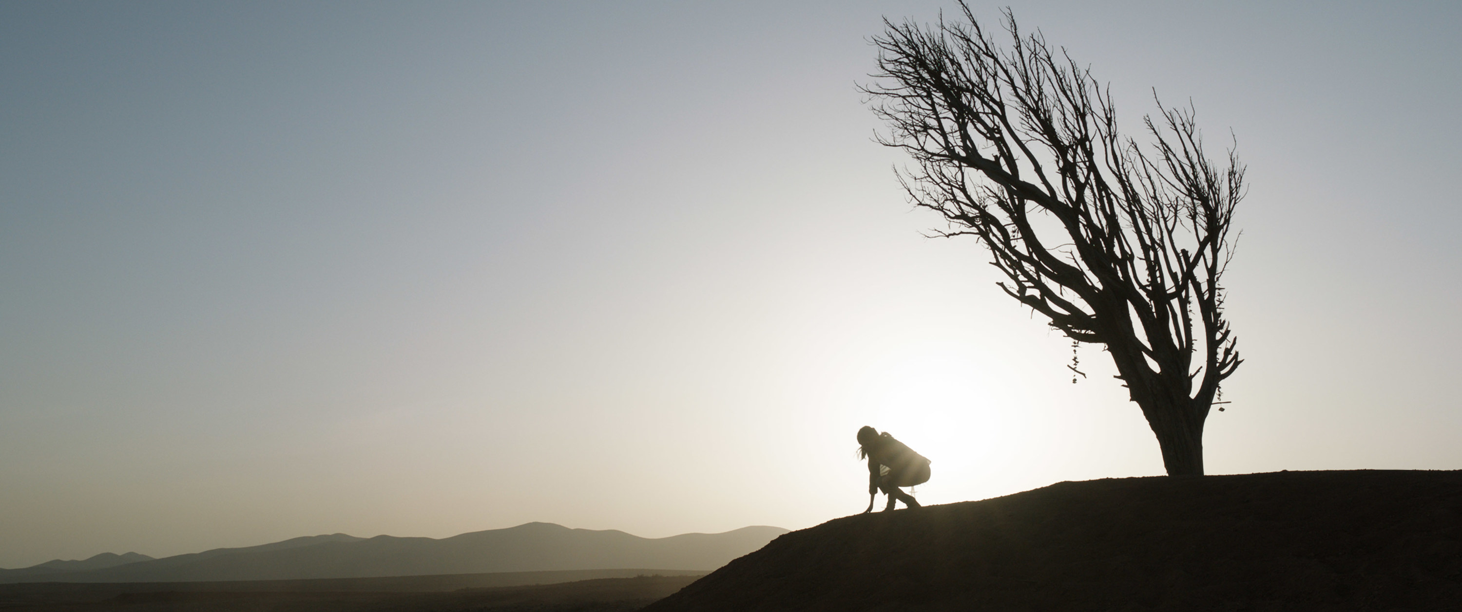 A person crouching in the distance next to a small tree