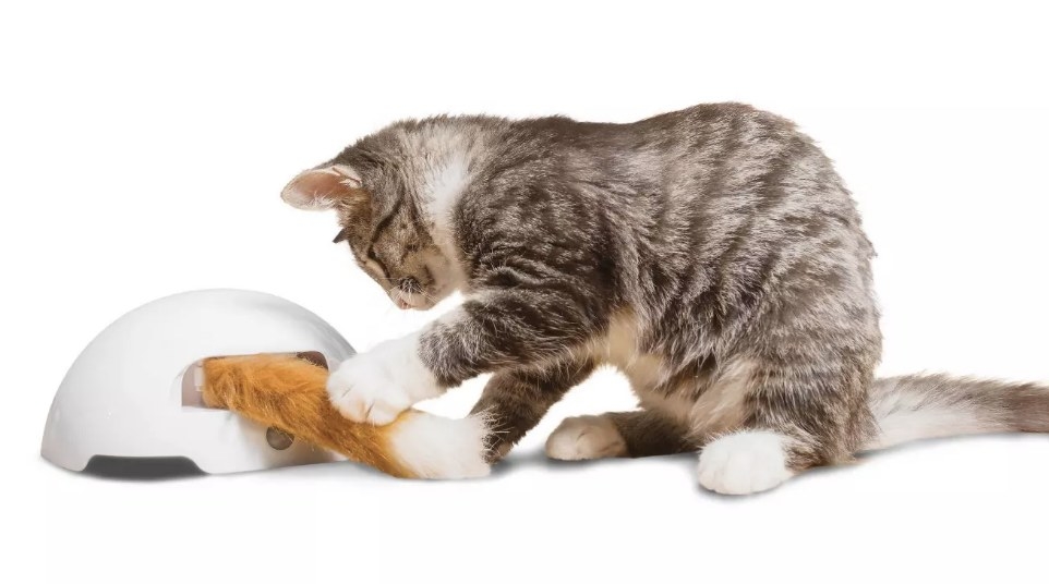 An automatic cat toy with a wagging fox tail