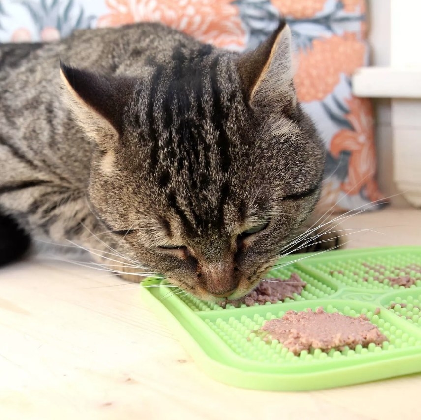 A cat licking food off a a green licking mat