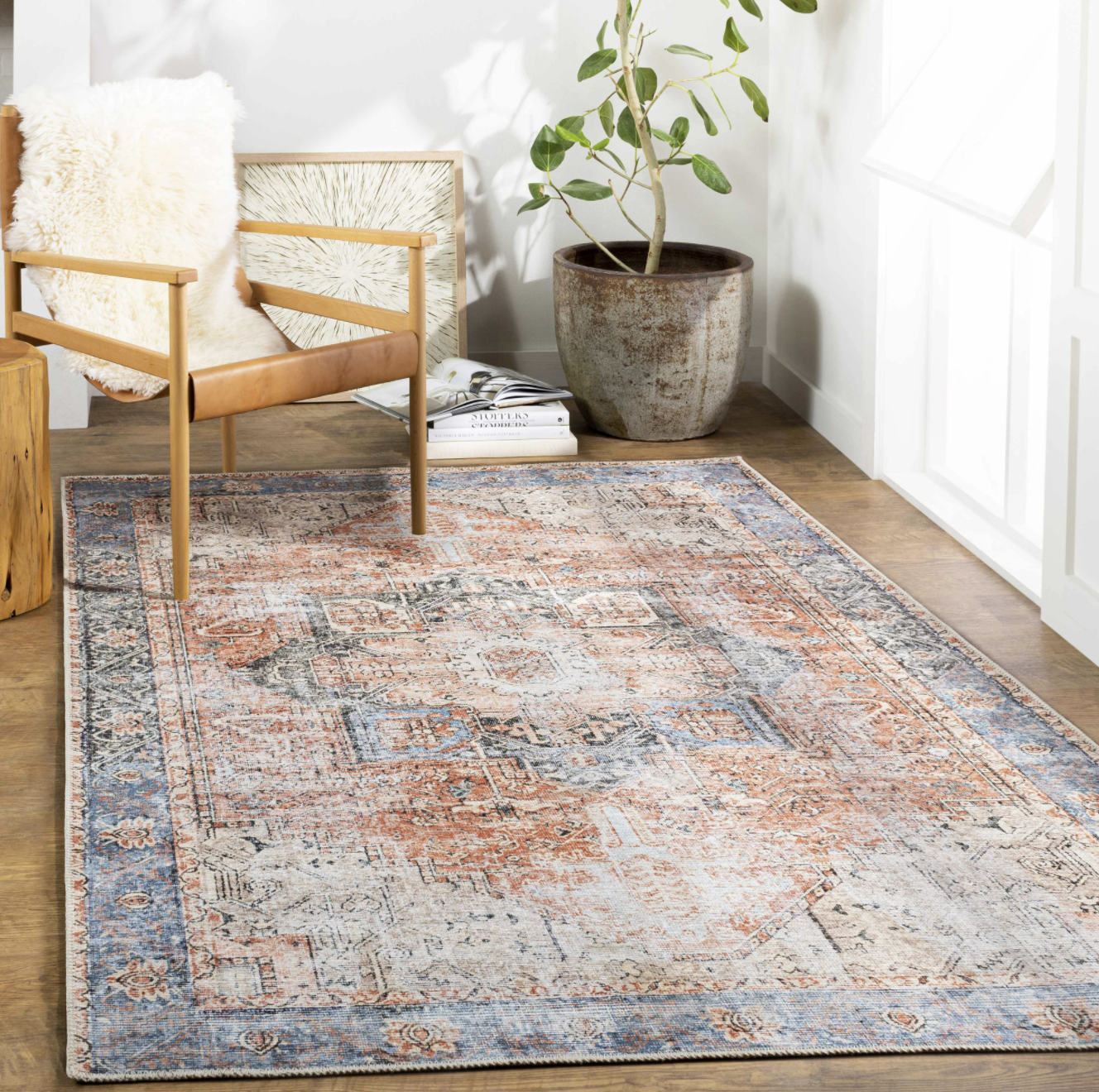 blue, red, and white printed area rug on floor of home