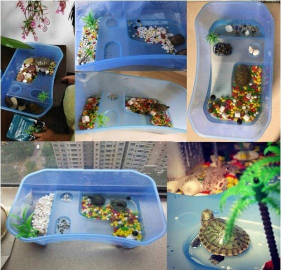 Acuario de plástico para tortugas