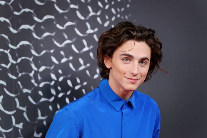 Timothee Chalamet attends the Australian premiere of THE KING in a bright button  down shirt