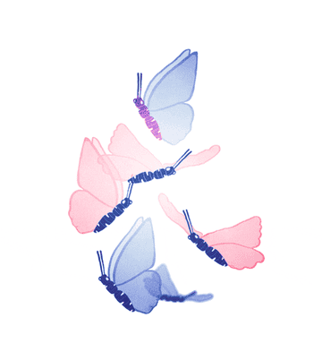 GIF of butterflies in illustration