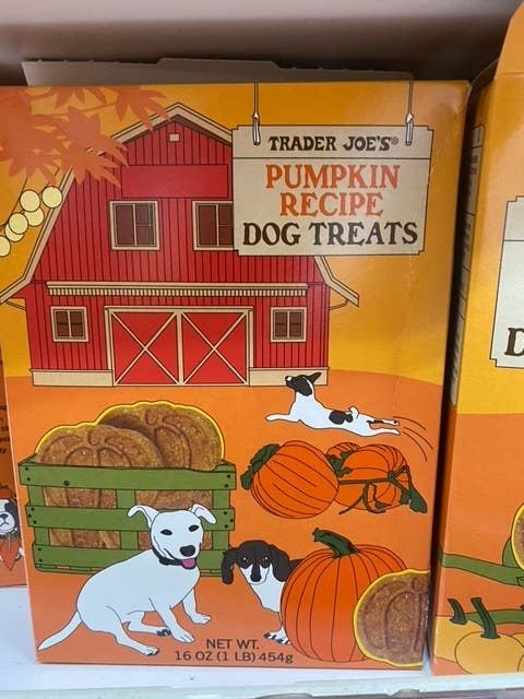 Pumpkin Recipe Dog Treats