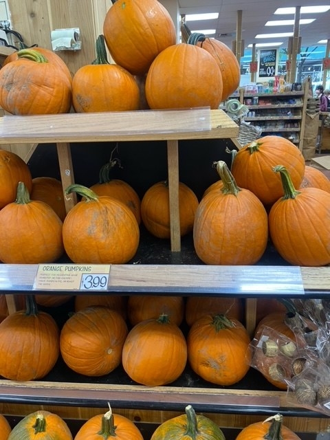 Orange Pumpkins