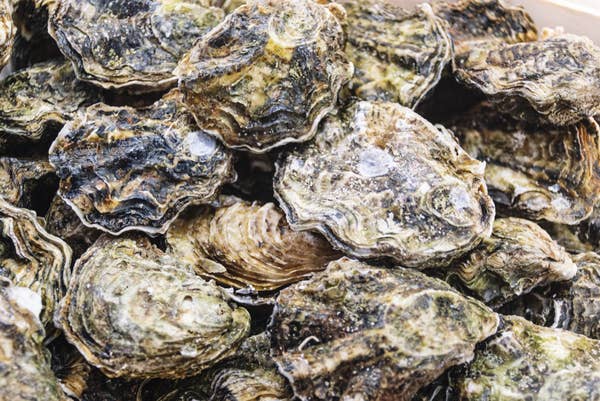 Pile of fresh raw oysters for seafood restaurant