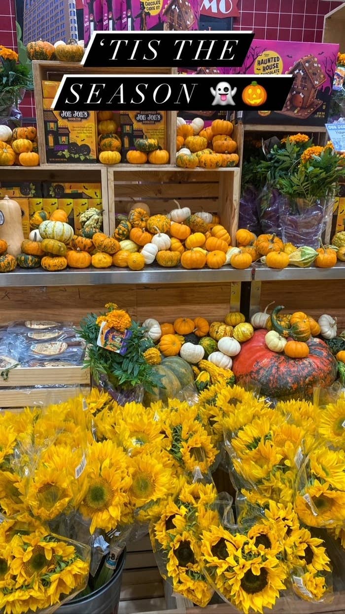 Fall themed products at Trader Joe's.