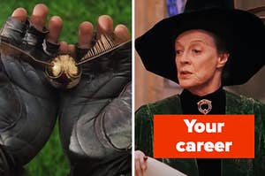 Harry is holding a ball on the left with McGonagall labeled, "Your career" on the right