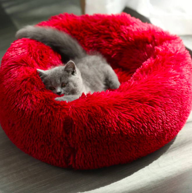 a kitten stretching happily on the squishy pet bed