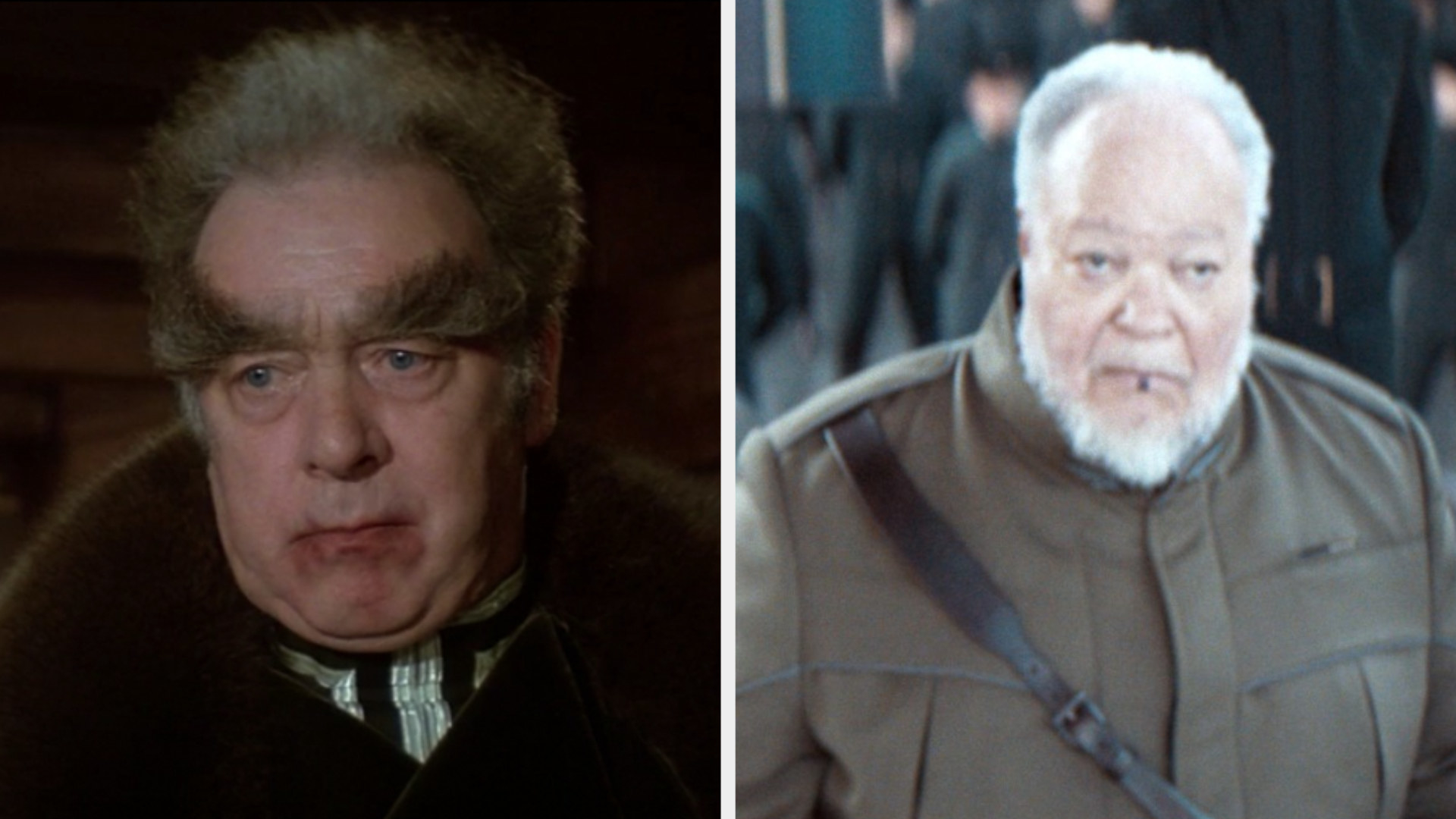 Thufir with overgrown eyebrows and Stephen McKinley Henderson as Thufir with short eyebrows with a white hair and beard