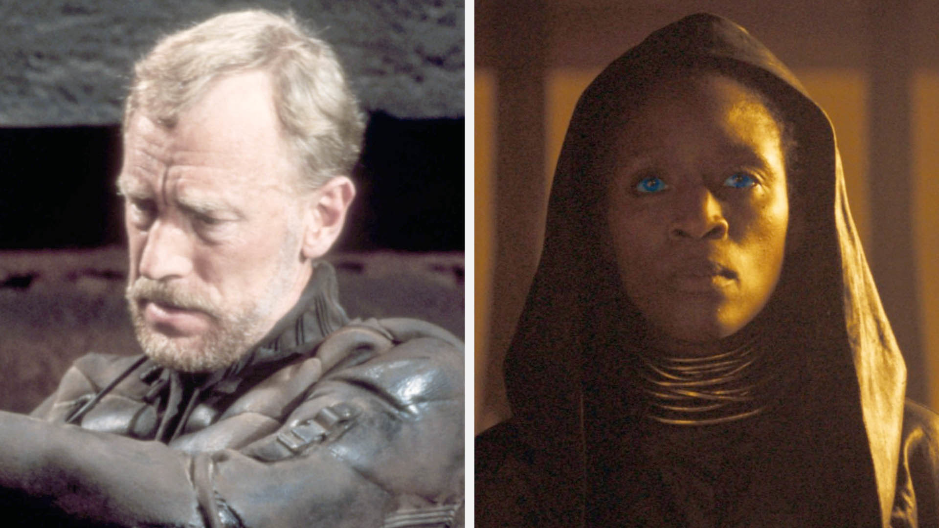 Max von Sydow (an older, white man) as Dr. Liet Kynes vs. Sharon Duncan-Brewster (a younger, black woman) with glowing blue eyes as Dr. Liet Kynes