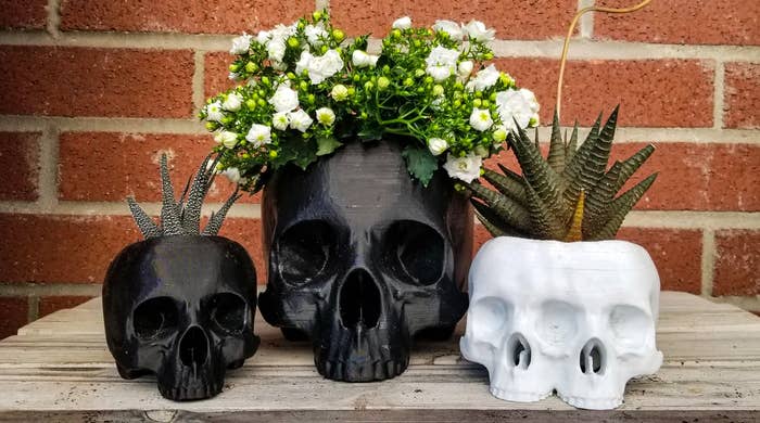 a trio of skull-shaped planters filled with succulents and fresh flowers