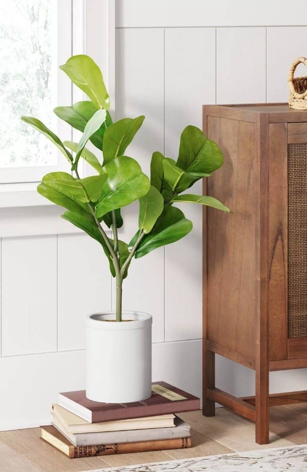 Faux plant in white planter on stack of books next to wooden dresser