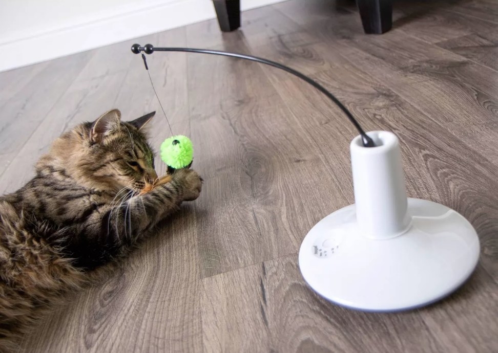 A kitten playing with a motion-sensor wand toy