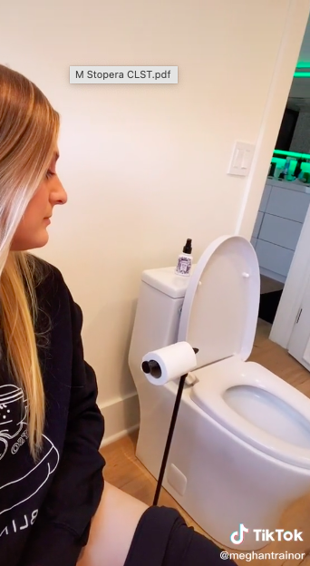 The Meghan Trainor Side-By-Side Toilet Pooping Story photo