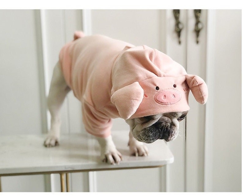a dog wearing the pig costume
