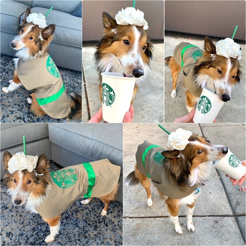 six different photos of dogs in the costume