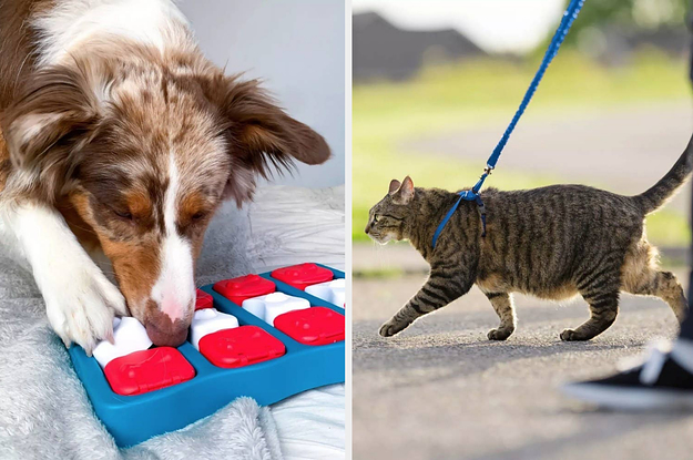 31 Problem-Solving Products From Target For People Whose Pets Have Endless Energy