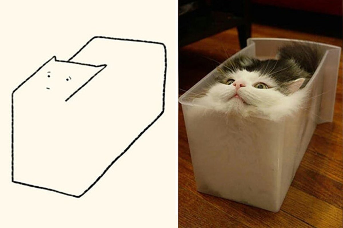 funny drawings of cats