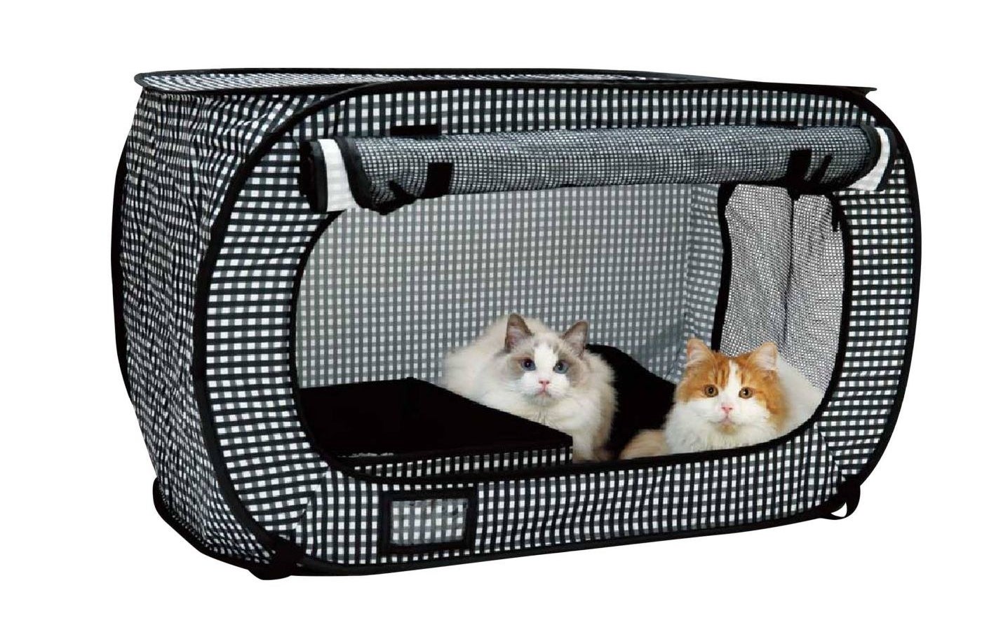 portable cat holder with 2 cats inside